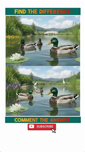 Find The Maximum Difference