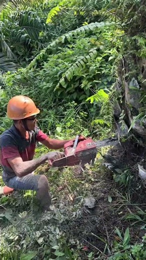 VERSI ASMR 👀👷 otw kita tanami hutan kembali! #JerhemyOwen #WenanamSumatra