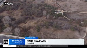 Madrona Marsh in Torrance | Look at This!