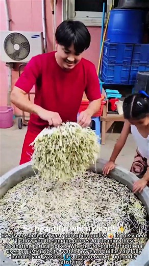 Washing Porcupine Quills – So Unique! 🦔💧