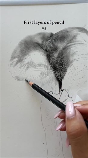 I completed forgot to share this masterclass I filmed a couple of months ago 🐘 graphite on @strathmoreart Bristol board. Full tutorial is on my w💓bsite and p💓treon #pencildrawing #graphite #drawing #drawingtutorial #pencilart | Bethany Vere Artist