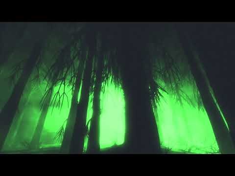 Creepy Foggy Green Forest Halloween Loop 4K Motion Background Wallpaper Screen Saver