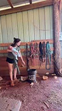 finally got some of my barn cleaned up 😅 #western #rodeo #horses #barn #equestrian #newborn