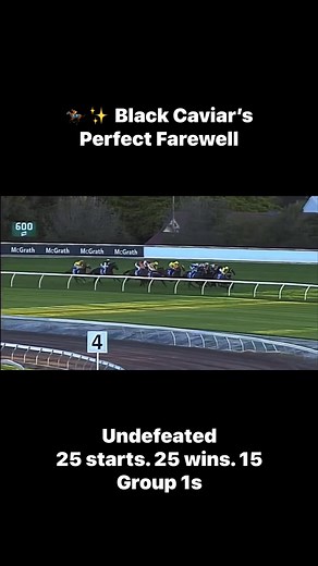 163 reactions · 14 shares | ✨ Black Caviar’s Perfect Farewell April 13, 2013 – Randwick Racecourse. She stepped onto the track one final time… and left undefeated. 25 starts. 25 wins. 15 Group 1s. An icon. A legend. The unbeaten queen of the turf.  #BlackCaviar #WinningStride #UnbeatenLegend #HorseRacingHistory | WinningStride | Facebook