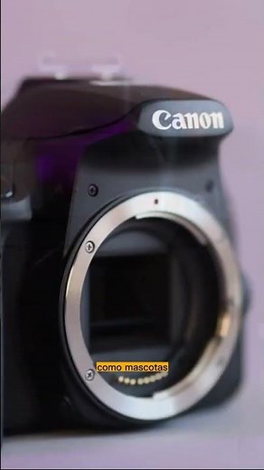 ✅Esta es La MEJOR Camara de Canon Para Fotografia en 2023 - Canon T8I