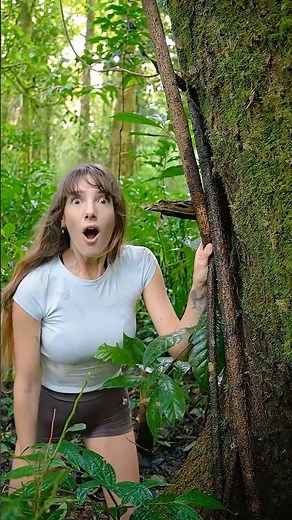 This Could Save Your Life 💪 Jungle Survival #survival #jungle #outdoors #lifehacks