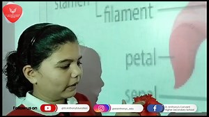 6.6K views · 335 reactions | Std- 7B Subject- Science Activity Name- Different Parts of Flowers #science #activities #learning #school #knowledge #activity #FunAndLearning #teacherjob #bestschool #bettereducation #trust #SACHSS #inovation | ST. Anthony's High School | Facebook