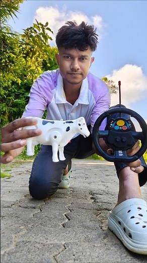 Rc Cow Unboxing Review | Texting