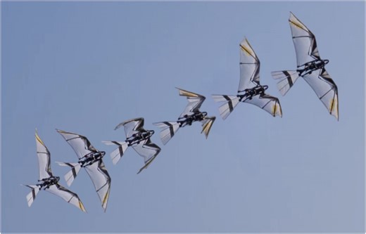 Robo Falcon 2.0: Robot falcon takes off like a bird of prey