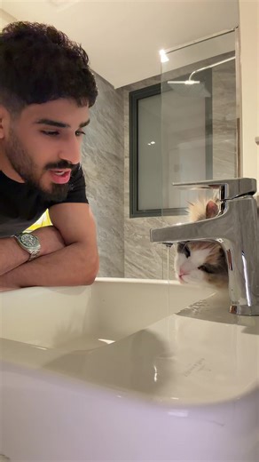 فيديوهات أنشأها Walid (@walid_sharks) باستخدام original sound - sharooky