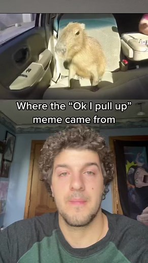 He did pull up tho😳 #fyp #capybara #meme #funny