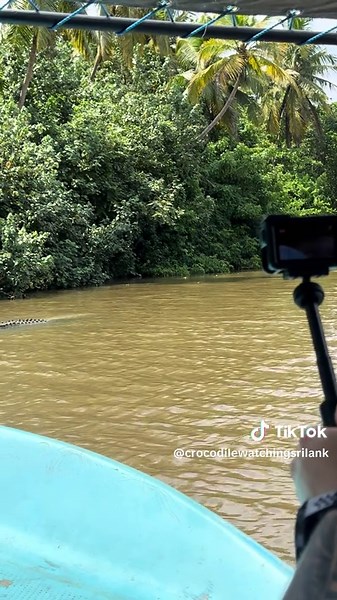 Exploring Crocodiles in Sri Lanka's Nilwala River