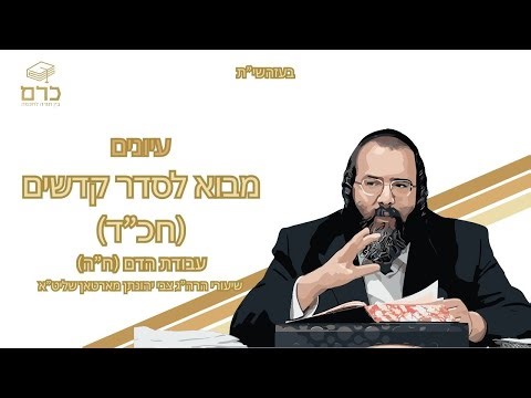 עיונים | מבוא לסדר קדשים (חכ"ד): עבודת הדם (ח"ה)
