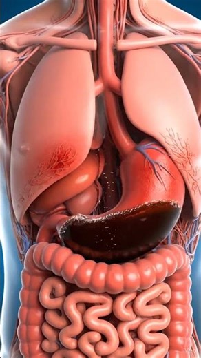 What Happens Inside Your Body After Drinking Coca-Cola | Gut Health | BioScopeX