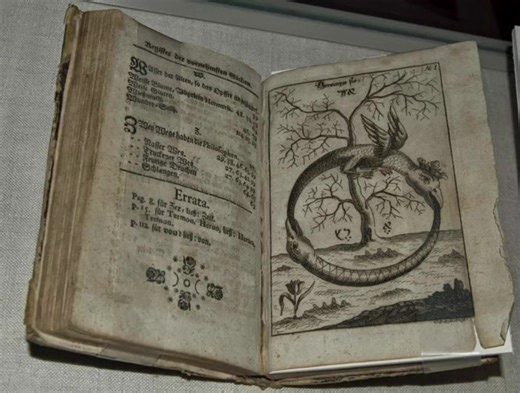 Ouroboros is one of the oldest and most powerful symbols in human history — a serpent or dragon depicted eating (or biting) its own tail. The word