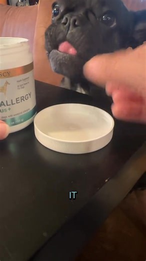 12 reactions |  We found the best Itch Relief Solution! Our expert research has uncovered the ideal pet companions to ensure your house remains free from any irritants that may cause discomfort. Say goodbye to allergies and hello to a healthy environment with our recommended choices. Don't wait - act now, as you deserve a safe haven filled with love and joy. | Nature's Dog: Wellness Journal | Facebook