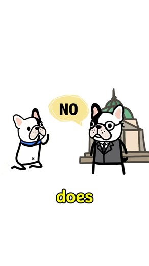 What Happens If You Stop Paying Your Credit Card? | Dumb Bulldog Explains”