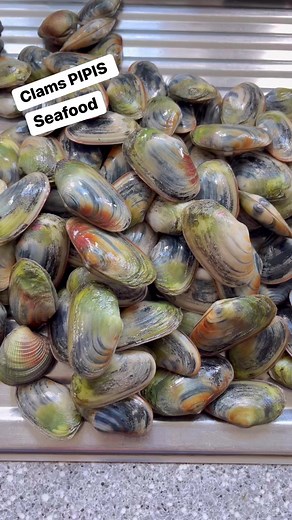 7.1K views · 24 reactions | SHELL PIPIS Seafoods Fresh and Nutritious #shell #pipis #clams #fresh #nutritious #seafood #seafoodlover #freshfromthesea #healthyeating | Pinoy Vlog in New Zealand | Facebook