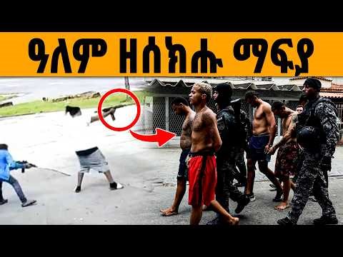 🔥 ዓለም ምሉእ ዘሰክሑ ማፍያ #eritrea #tigray