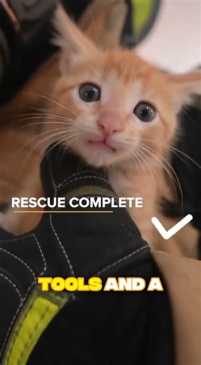 Firefighter Runs Into Burning House To Save Tiny Kitten 🐾🔥 Emotional Rescue