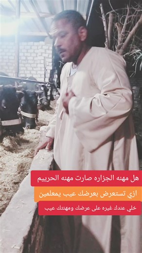 هل مهنة الجزارة أصبحت مهنة النساء؟