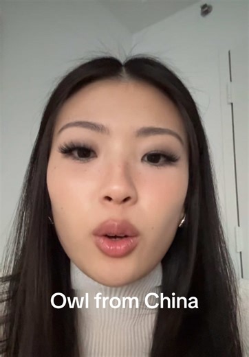 you found this owl at a very Chinese time in its life