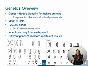 Basic genetics overview
