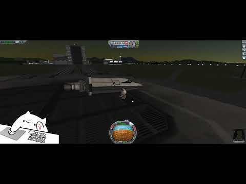 New Version Bongobs Cat