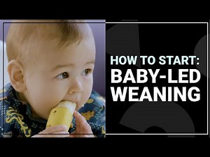 Baby Led Weaning: How to Start and What to Expect | Tinyhood