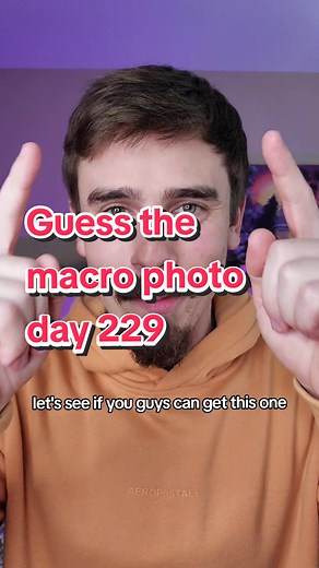 Day 229: Guess the Macro Photo Challenge