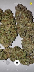 Candy Kream | Marijuana Strain Reviews