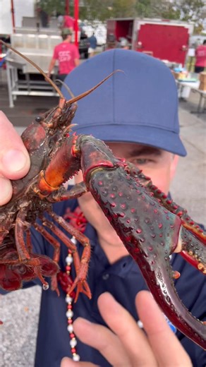 Big pinchers at the Pensacola Crawfish Festival. | Allen Strum