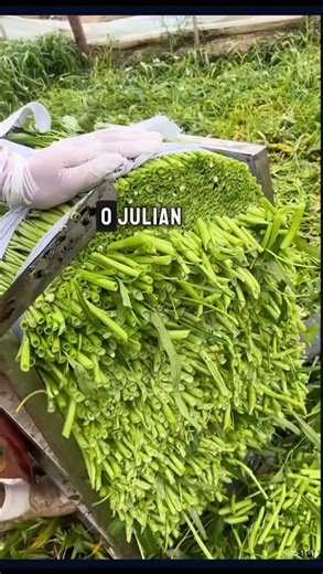 Superando a traição durante a gravidez: um relato profundo