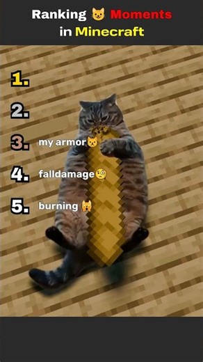 Ranking Minecraft Cat Moments | Funny & Cute Minecraft Cats 🐱