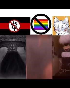 anti furry memes [ part 2 ]