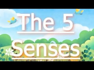 The 5 Senses Rap