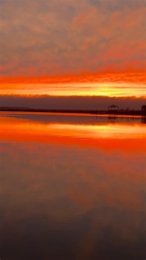 It’s a pretty one! | Steve Rodgers