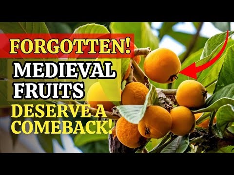 15 Forgotten Medieval Fruits Farmers Once Grew That Deserve a Comeback in Modern Gardens Today