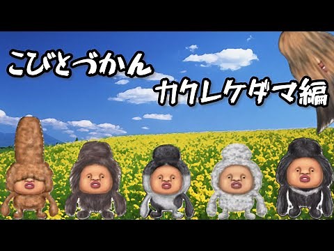 『こびとづかん』動物にくっつきまくるカクレケダマ編・遊園地や動物園で探してます。