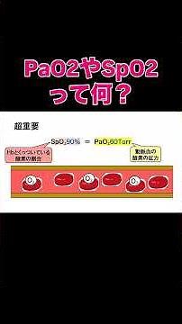 PaO2やSpO2っ何？　#国試 #必修 #看護学生