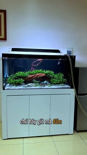 Hôm trước tôi có ngồi uống cà phê với Thomas, là Head of Product Management của Google Singapore, ông qua Việt Nam mấy ngày, chúng tôi ngồi discuss với nhau, tôi cũng có đề cập đến cái case study nào để tôi có thể learn được một cái solution cho cái problem của mình. Thì họ có một cái cách làm rất là smart... Đi giao cái bể thấy các cháu hs cấp 3 nói chuyện với nhau mấy ae ngẫn luôn 😮‍💨 | Phương Nguyễn