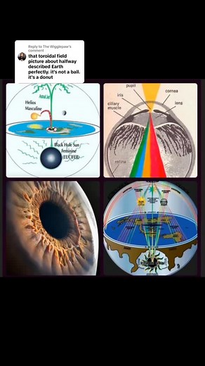 #eyeland #holographicuniverse #escapethematrix | Taylor Price