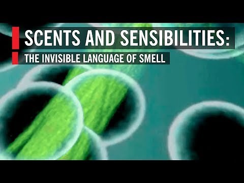 Scents and Sensibilities: The Invisible Language of Smell | World Science Festival
