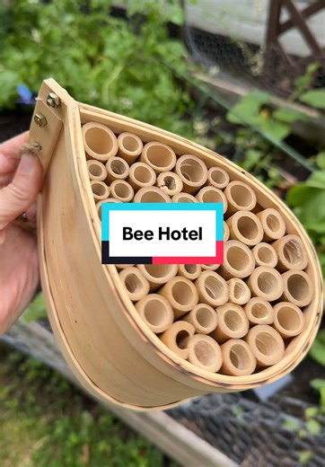 Bee Hotel: Perfect Shelter for Solitary Bees
