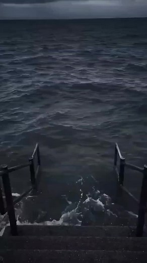 Eat 100 damage 0 #cutecat #cats #fyp #fypシ #meme