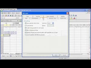 Kingsoft Spreadsheets Feature 2: Auto complete