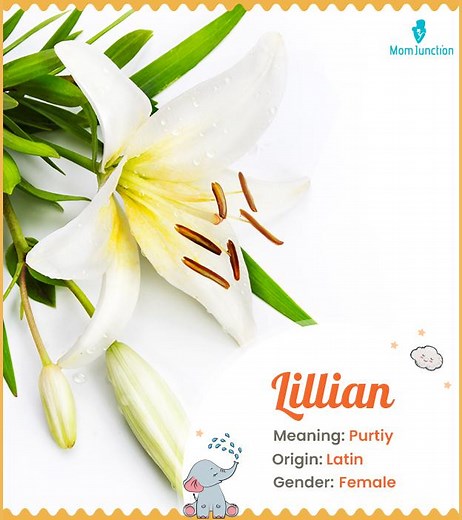 Lillian Name Meaning, Origin, History, And Popularity
