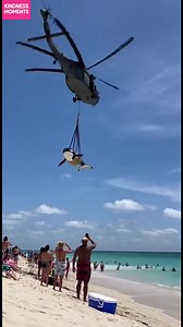 35K views · 278 reactions | Dramatic Orca Rescue on the Beach A helicopter's daring rescue of an orca captivates beachgoers. #fblifestyle #AI Generated using Kling AI . . . (For entertainment purposes only. Consult professionals if guidance on activities is presented. No brand affiliation is implied if any are shown. If inspired by true events, creative adaptations may be included. Content may include public footage.) | Fabiosa Australia | Facebook