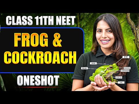 FROG & COCKROACH in ONE SHOT | All Concept & PYQ | Basics to Advanced | Class 11 NEET
