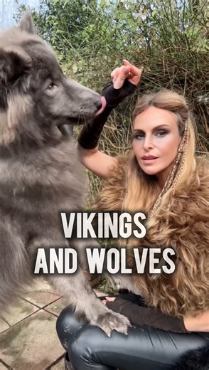 The Vikings didn’t fear wolves — they respected them. To the Norse, the wolf was power, survival, and the wild itself. They followed Odin, the All-Father, who was never alone. By his side walked his two wolves — Geri and Freki — whose names mean the ravenous. They symbolised war, hunger, and the brutal truth of nature. And then there was Fenrir — the great wolf of prophecy, so powerful the gods themselves tried to bind him… knowing one day he would break free. For Vikings, the wolf wasn’t evil. 
